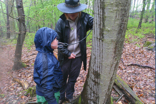 Rangertag 05_25 Panama