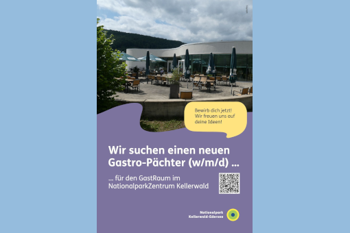 Anzeige Gastro-Pächter gesucht